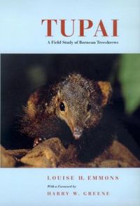 Cover image for Tupai: A Field Study of Bornean Treeshrews