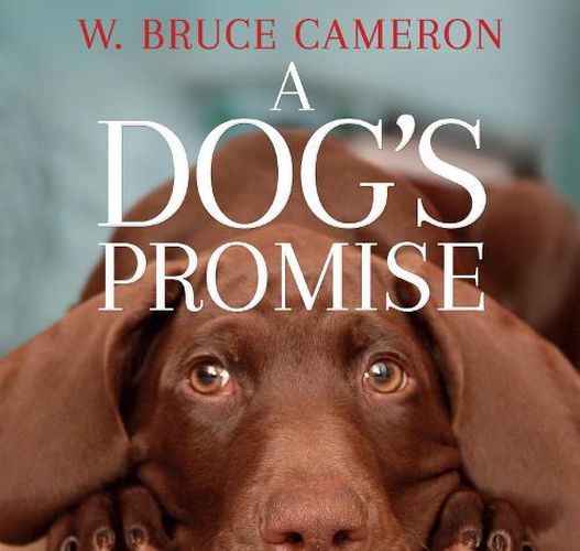 Cover image for A Dog's Promise