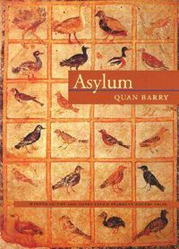 Cover image for Asylum