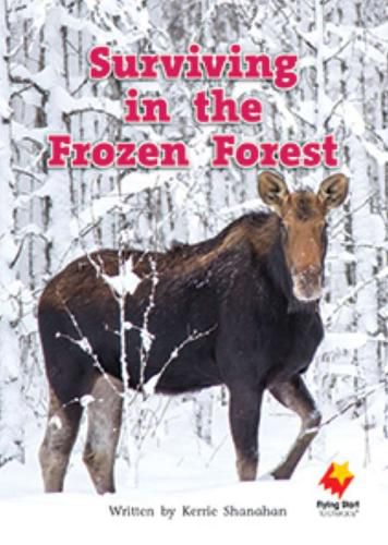 Cover image for Surviving in the Frozen Forest