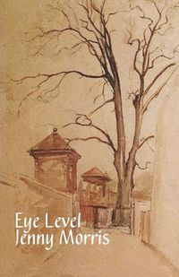 Cover image for Eye Level