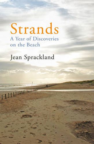 Strands: A Year of Discoveries on the Beach