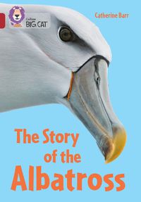 Cover image for Meet the Albatross