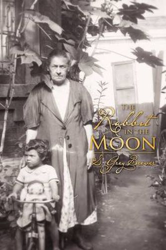 Cover image for The Rabbit in the Moon