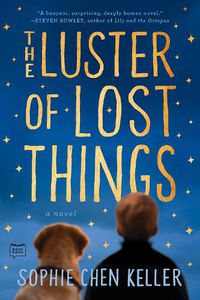 Cover image for The Luster of Lost Things