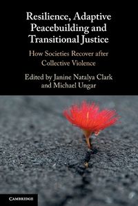 Cover image for Resilience, Adaptive Peacebuilding and Transitional Justice