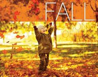 Cover image for Fall