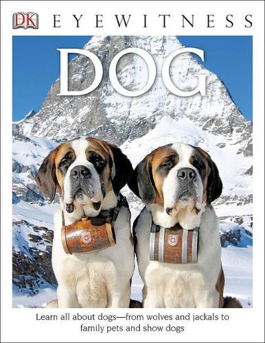 Cover image for Dog ( DK Eyewitness Books )