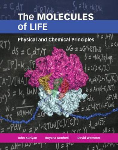 Cover image for The Molecules of Life