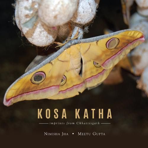 Cover image for Kosa Katha: imprints from Chattisgarh