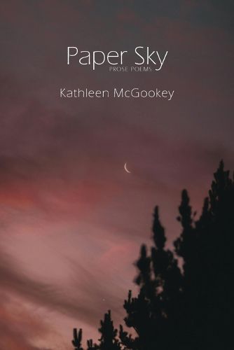 Cover image for Paper Sky