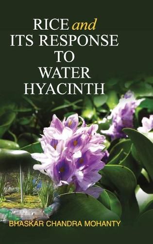 Cover image for Rice and Its Response to Water Hyacinth