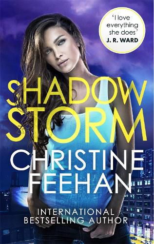 Cover image for Shadow Storm