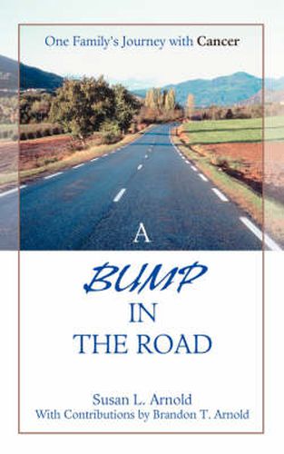 Cover image for A Bump in the Road