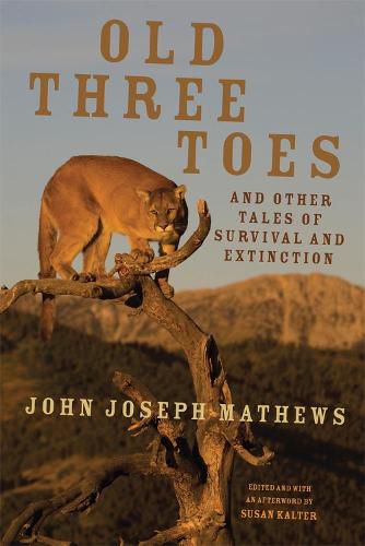 Cover image for Old Three Toes and Other Tales of Survival and Extinction