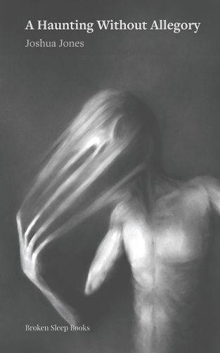 Cover image for A Haunting Without Allegory