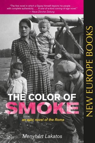 Cover image for The Color Of Smoke: An Epic Novel of the Roma