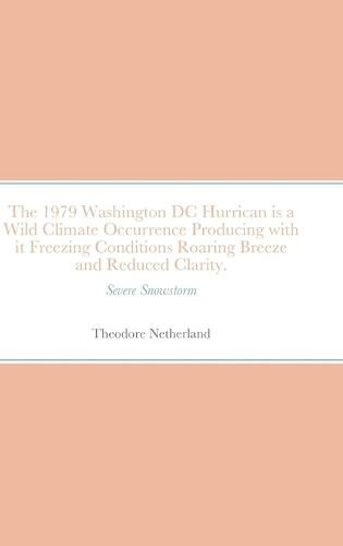 Cover image for The 1979 Washington DC Hurrican is a Wild Climate Occurrence Producing with it Freezing Conditions Roaring Breeze and Reduced Clarity.