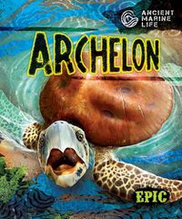Cover image for Archelon