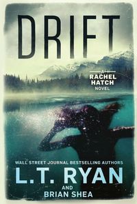 Cover image for Drift