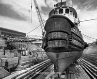 Cover image for Brooklyn Navy Yard, The