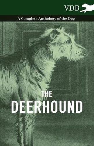 Cover image for The Deerhound - A Complete Anthology of the Dog -