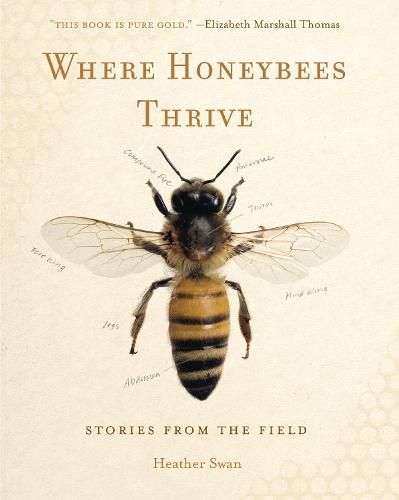 Cover image for Where Honeybees Thrive: Stories from the Field