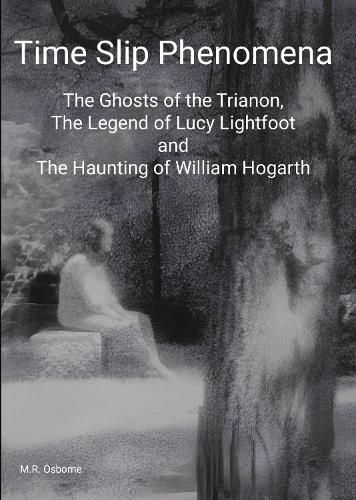 Cover image for Time Slip Phenomena