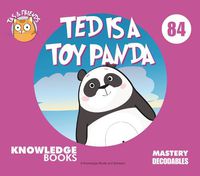 Cover image for Ted Is a Toy Panda