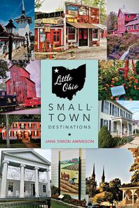 Cover image for Little Ohio: Small-Town Destinations