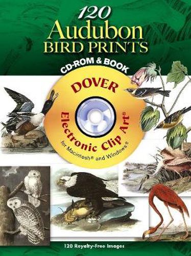 Cover image for 120 Audubon Bird Prints CD-ROM and Book