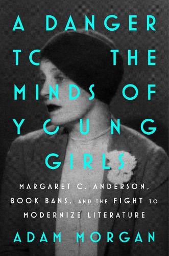 Cover image for A Danger to the Minds of Young Girls