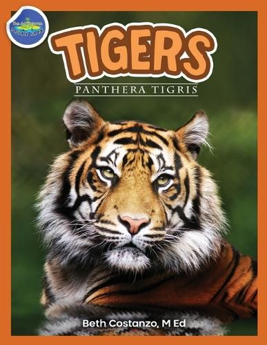 Cover image for Tigers, Panthera Tigris ages 2-4