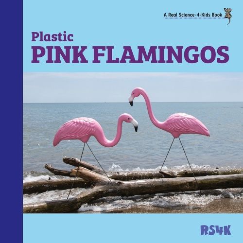 Cover image for Rubber Rain Boots and Plastic Pink Flamingos