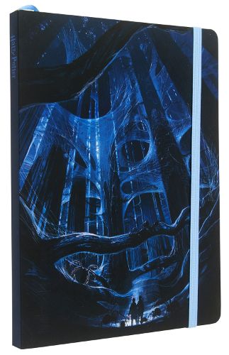 Cover image for Harry Potter: Aragog Softcover Notebook