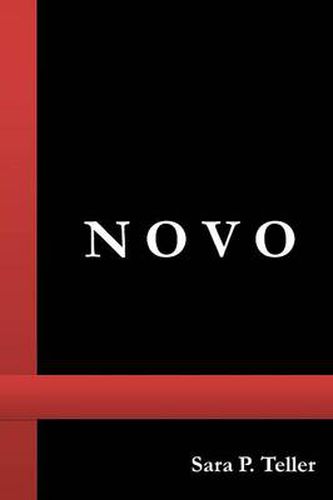 Cover image for Novo