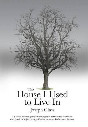 Cover image for The House I Used to Live In