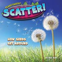 Cover image for Scatter!