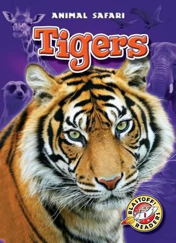 Cover image for Tigers