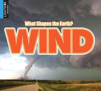 Cover image for Wind