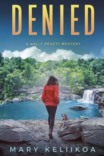 Cover image for Denied