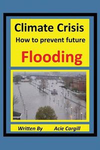 Cover image for Climate Crisis: A Plan to Prevent Future Flooding