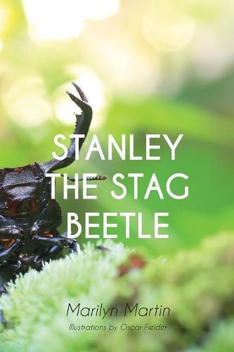 Cover image for Stanley the Stag Beetle