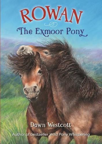 Cover image for Rowan The Exmoor Pony