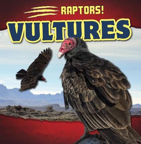 Cover image for Vultures