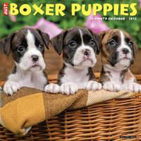 Cover image for Just Boxer Puppies 2025 12 X 12 Wall Calendar