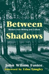 Cover image for Between Shadows: Modern Irish Writing and Culture