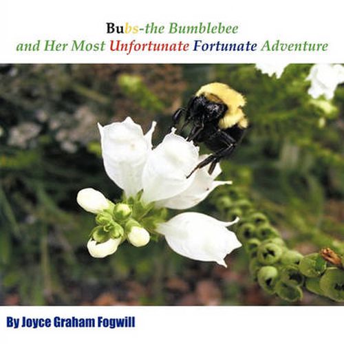 Cover image for Bubs the Bumblebee and Her Most Unfortunate Fortunate Adventure