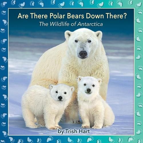 Cover image for Are There Polar Bears Down There?