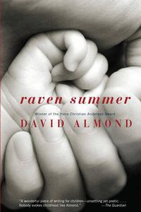 Cover image for Raven Summer